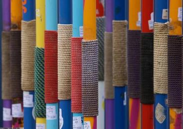 大数据体育管理支持