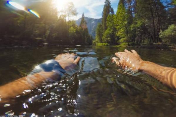 来凤新体育馆培训机构哪家好(图1)